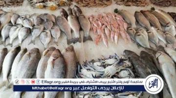 ارتفاع سريع في أسعار الأسماك بأسوان ليوم الخميس 27 نوفمبر 2025